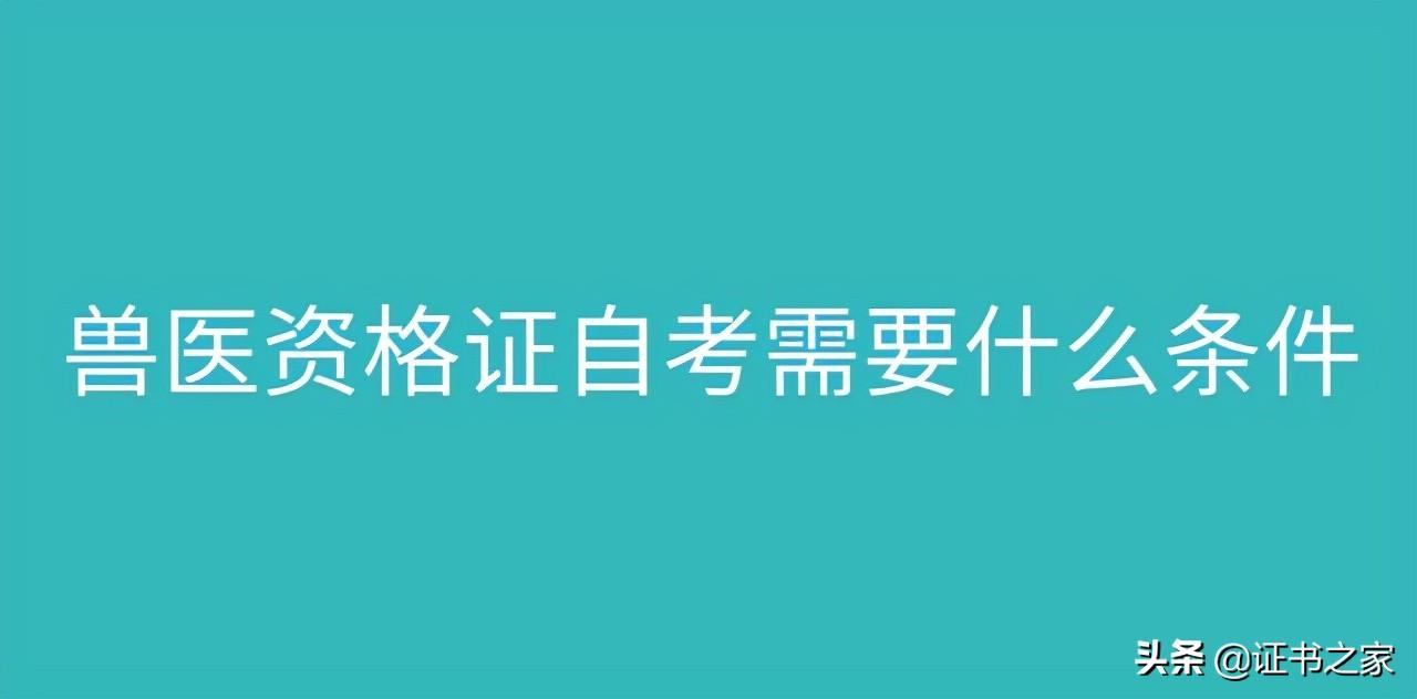 兽医自考需要什么条件