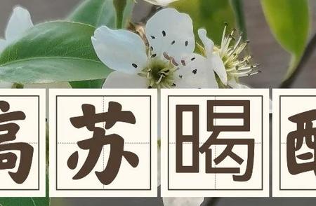 意志消沉的成语是什么（「槁苏暍醒」，“槁”读什么？“暍”读什么？）