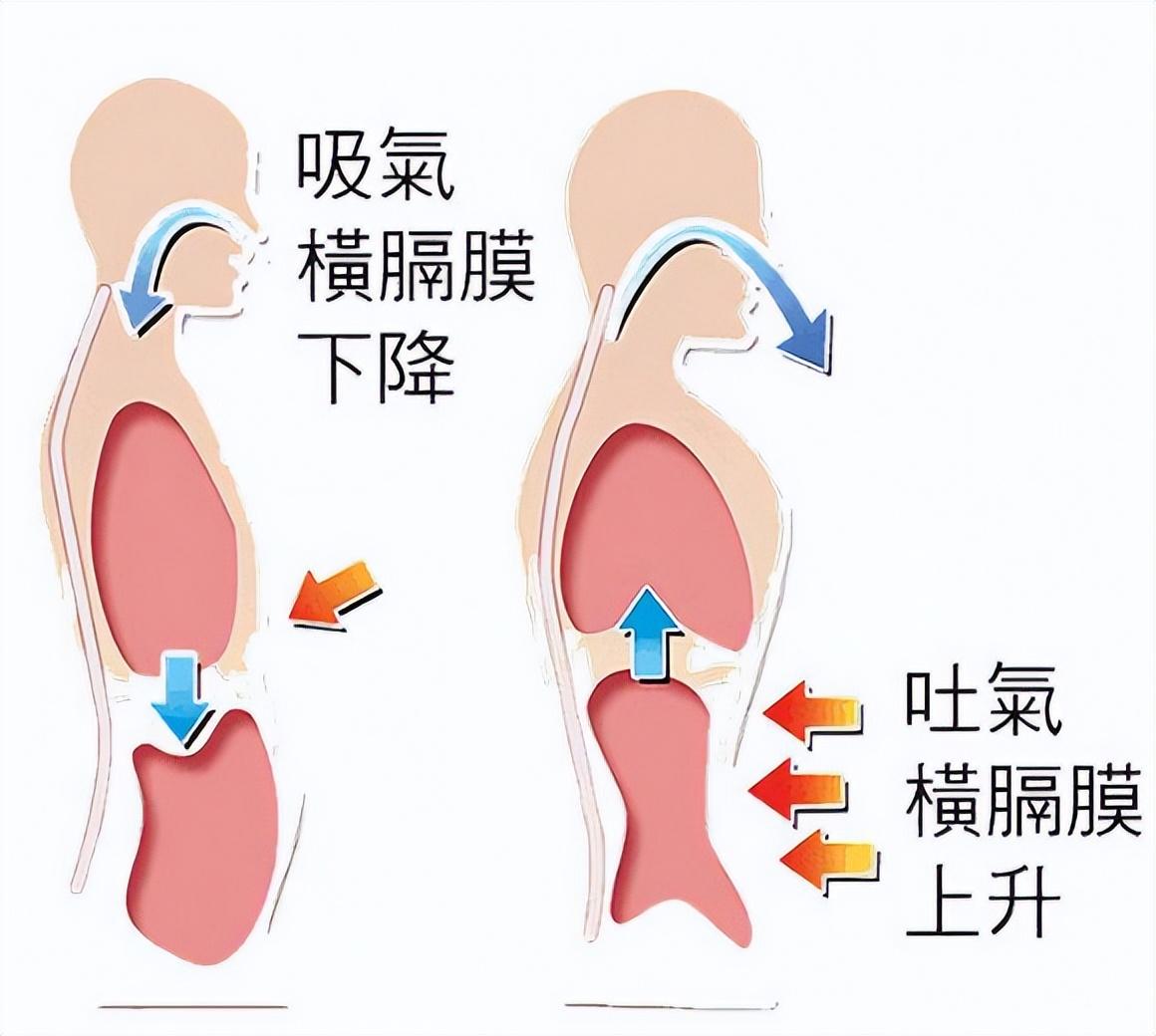 腹式呼吸法怎么做减肥（一种只靠呼吸就能减肚子的方法）