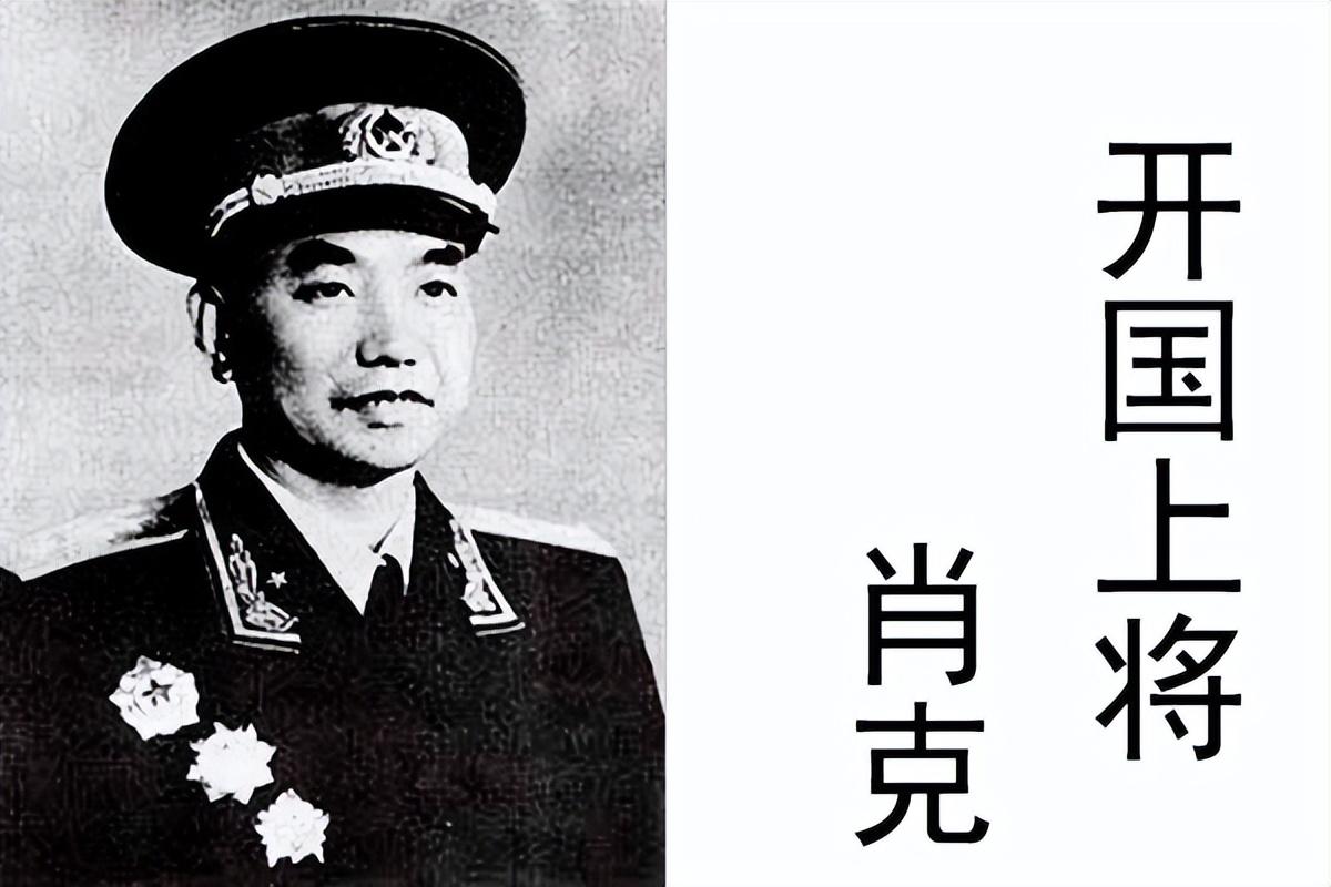 十大将军和十大元帅的级别区分（十大元帅与十大大将授衔标准是什么）